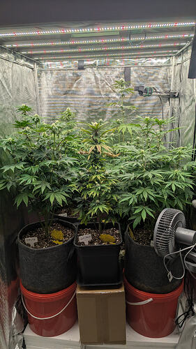 Growreport Bild 2