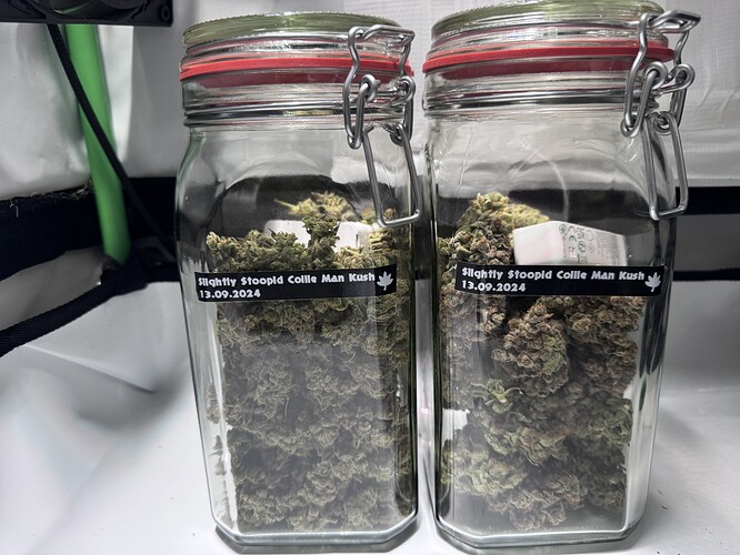 Growreport Bild 42