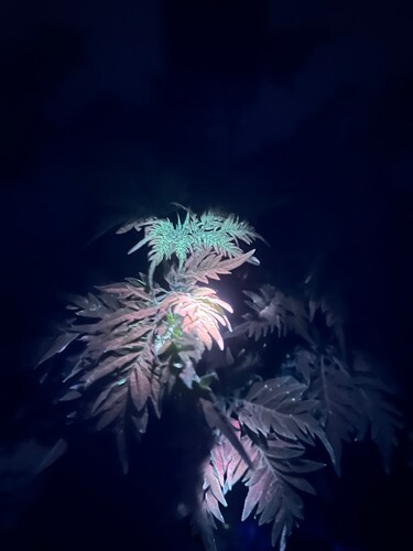 Growreport Bild 11