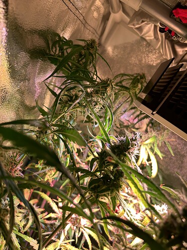 Growreport Bild 2