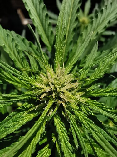 Growreport Bild 8