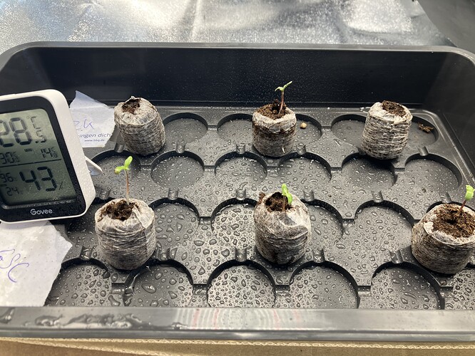 Growreport Bild 9