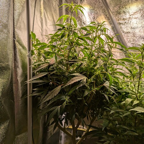 Growreport Bild 13