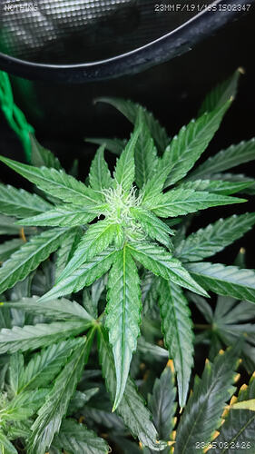 Growreport Bild 12