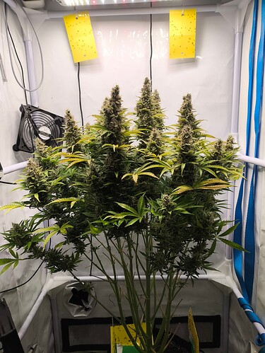 Growreport Bild 6