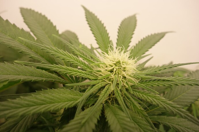 Growreport Bild 12