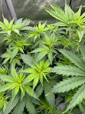 Growreport Bild 11
