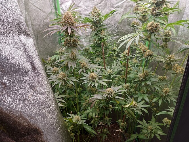 Growreport Bild 10