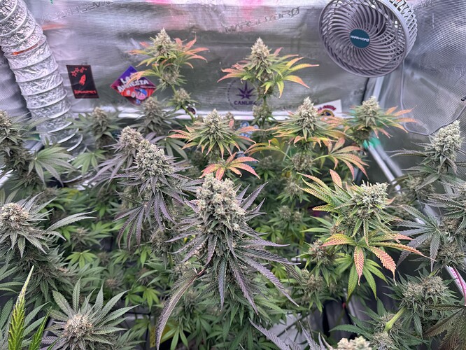 Growreport Bild 4