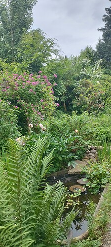 Growreport Bild 14