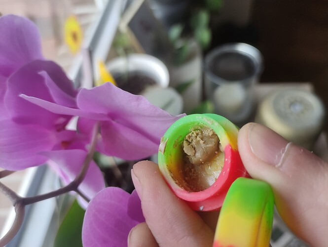 17480682467215590166693868040558