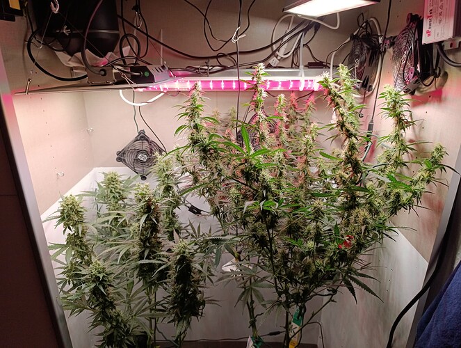 Growreport Bild 1