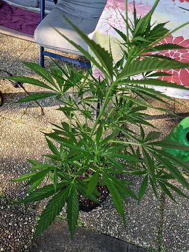 Growreport Bild 18