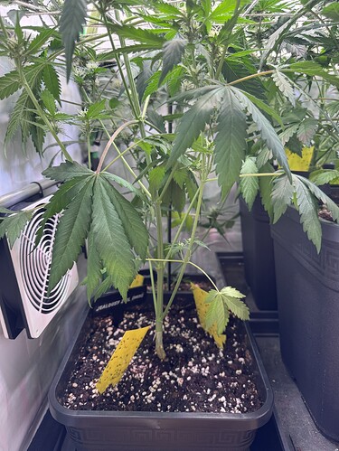 Growreport Bild 13