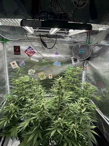 Growreport Bild 24