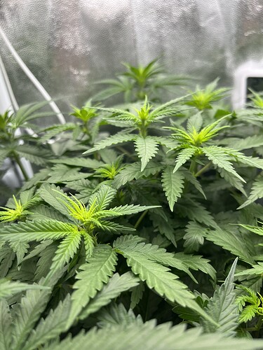 Growreport Bild 18