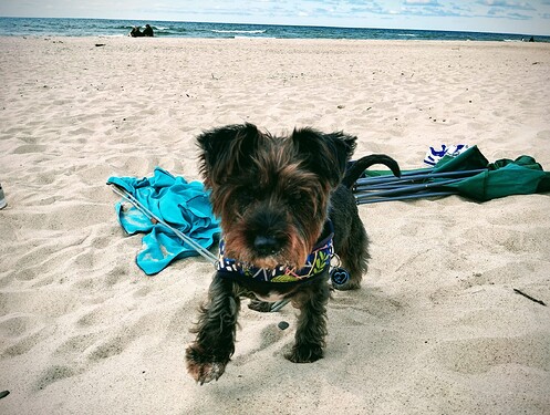 WhatsApp Bild 2025-07-20 um 19.23.07_869aeb02