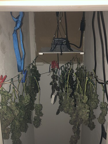 Growreport Bild 1