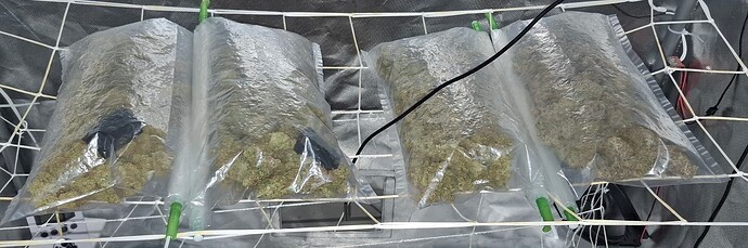 Growreport Bild 1