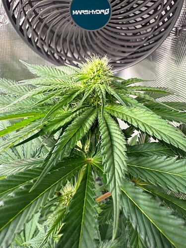 Growreport Bild 11