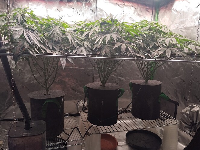 Growreport Bild 10