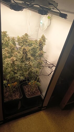 Growreport Bild 14