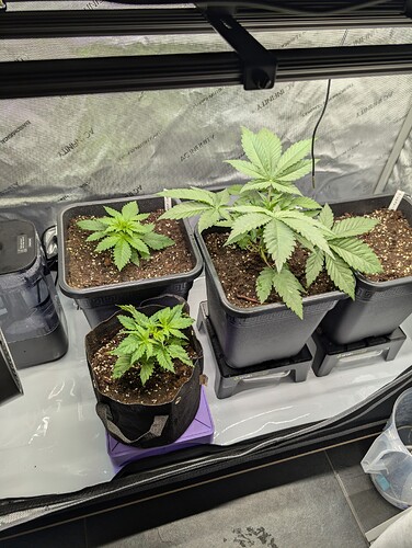 Growreport Bild 12