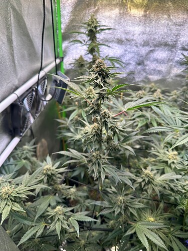 Growreport Bild 14