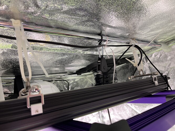 Growreport Bild 3