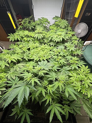 Growreport Bild 16