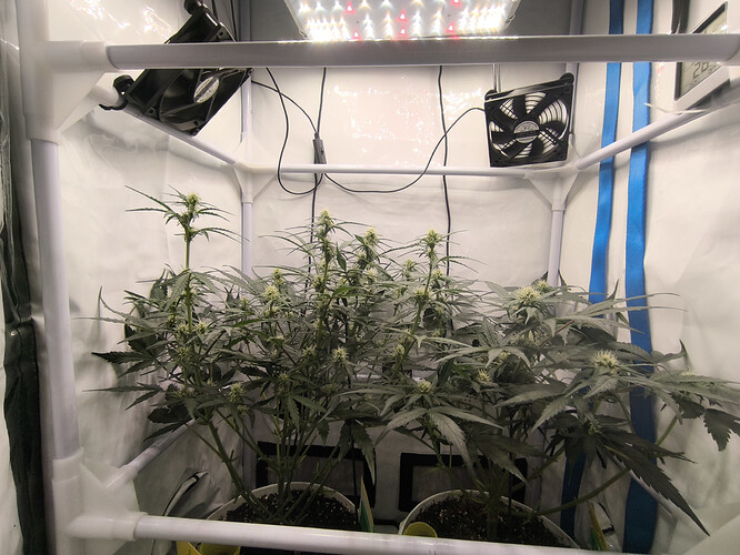 Growreport Bild 2