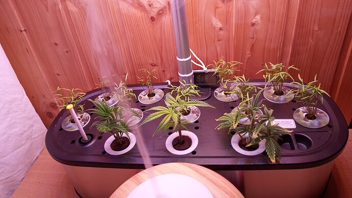 Growreport Bild 14