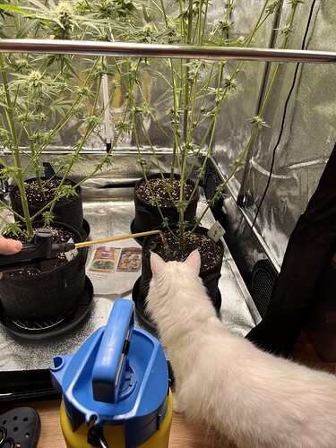 Growreport Bild 4
