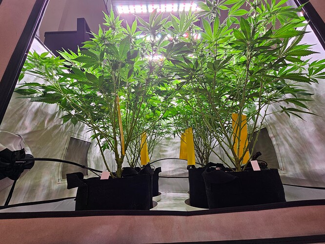 Growreport Bild 4