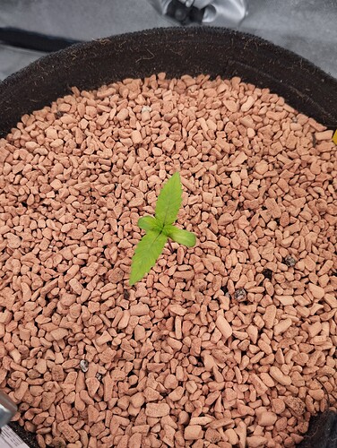 Growreport Bild 20