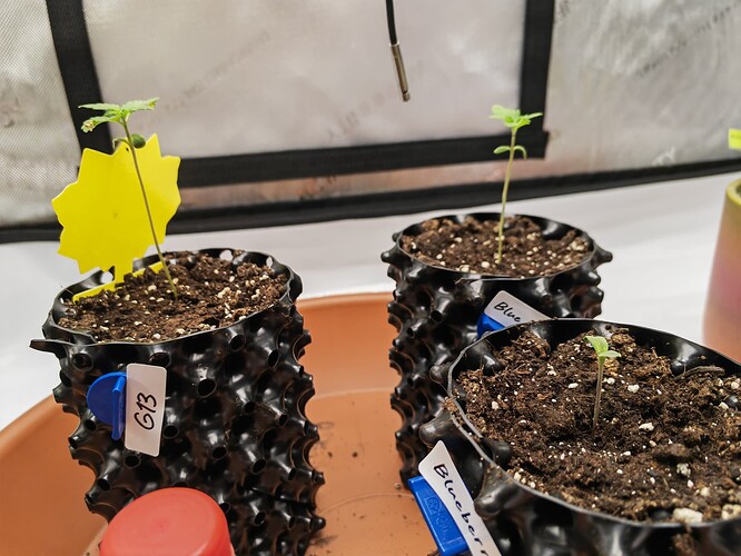 Growreport Bild 18