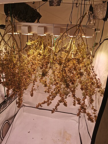 Growreport Bild 1