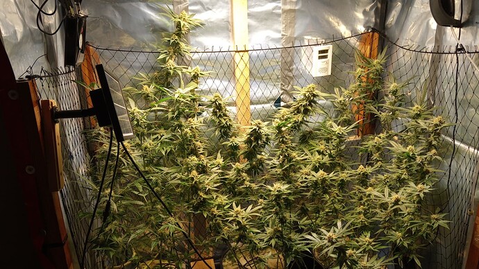 Growreport Bild 7