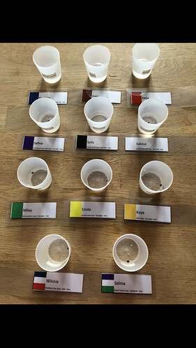 Growreport Bild 12