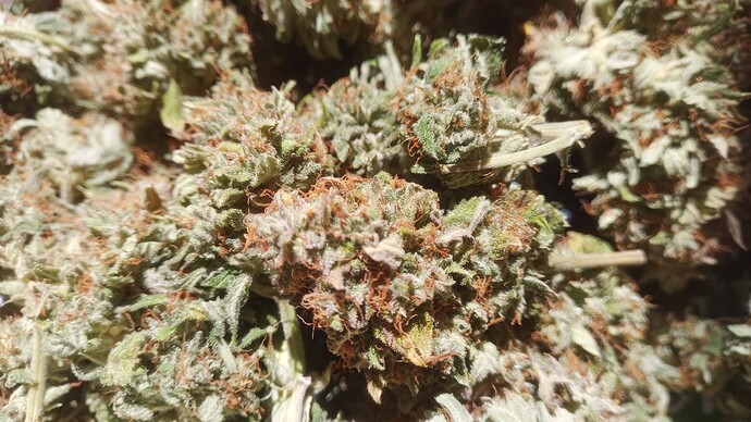 Growreport Bild 14