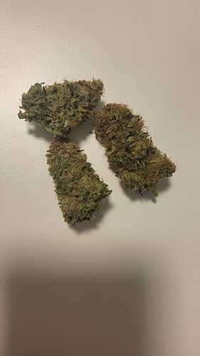 buds