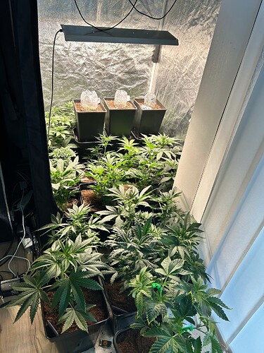Growreport Bild 7