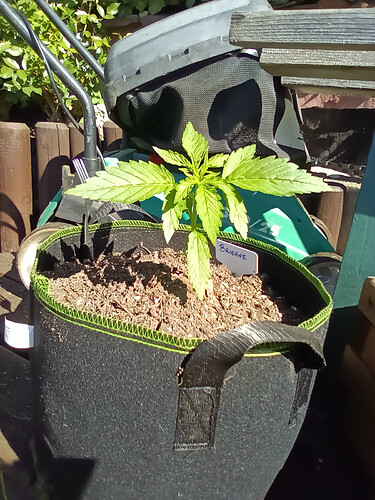 IMG_20240515_095735_4