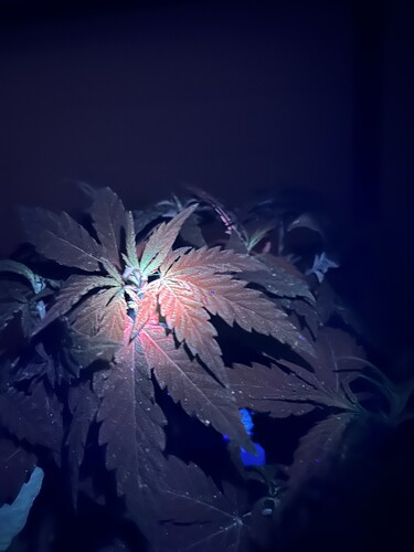 Growreport Bild 13