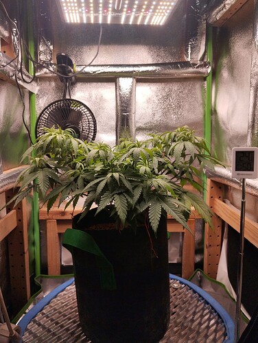 IMG_20241102_202841 - Kopie