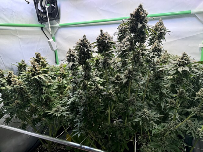 Growreport Bild 47