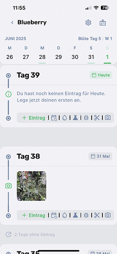 Growreport Bild 2