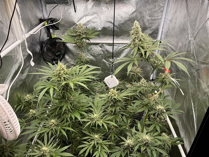 Growreport Bild 1