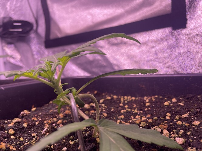 Growreport Bild 8