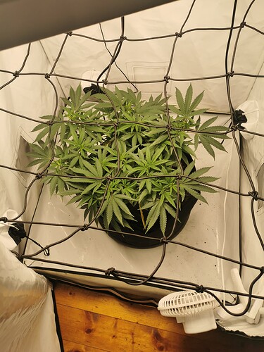 Growreport Bild 16
